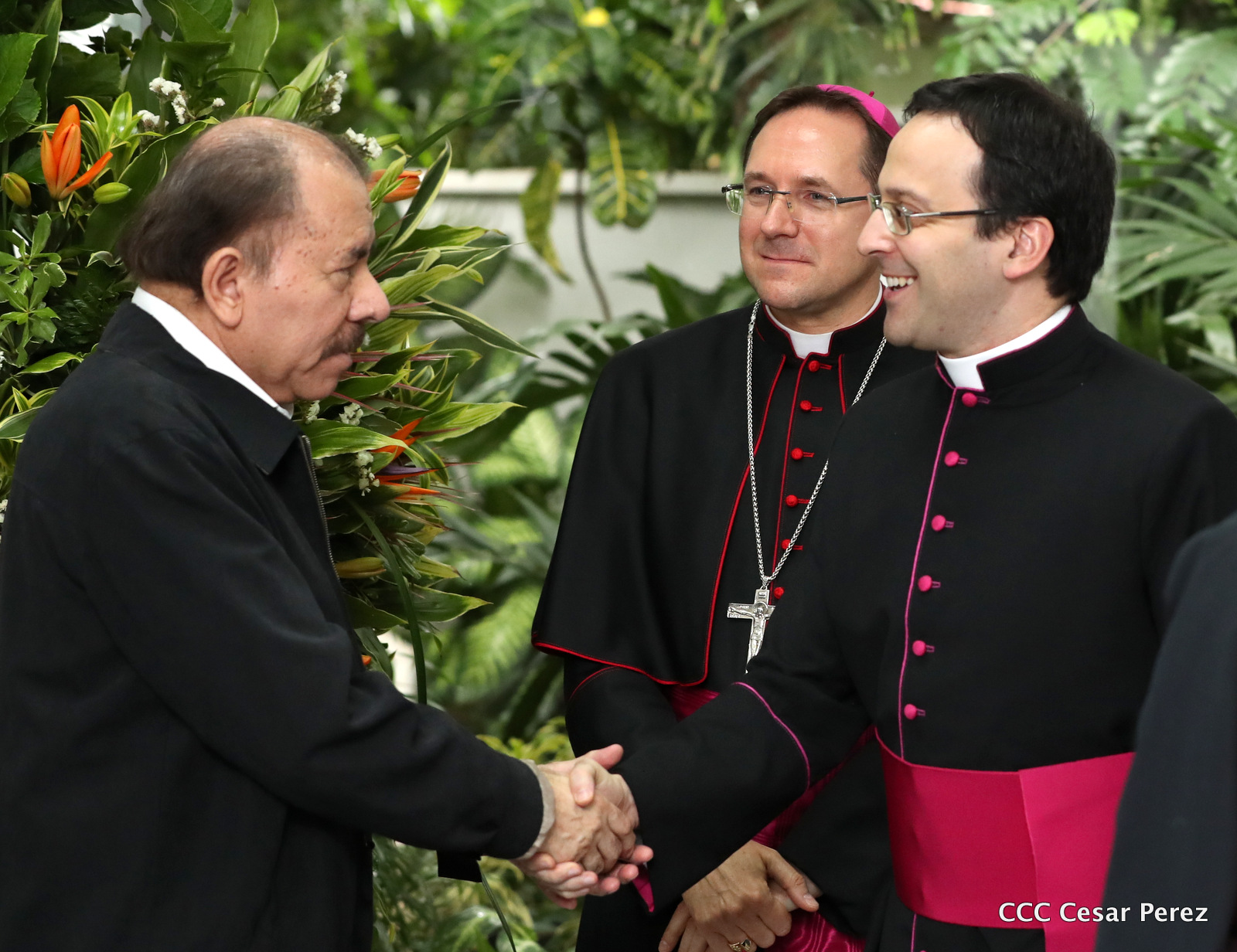 Nuncio1